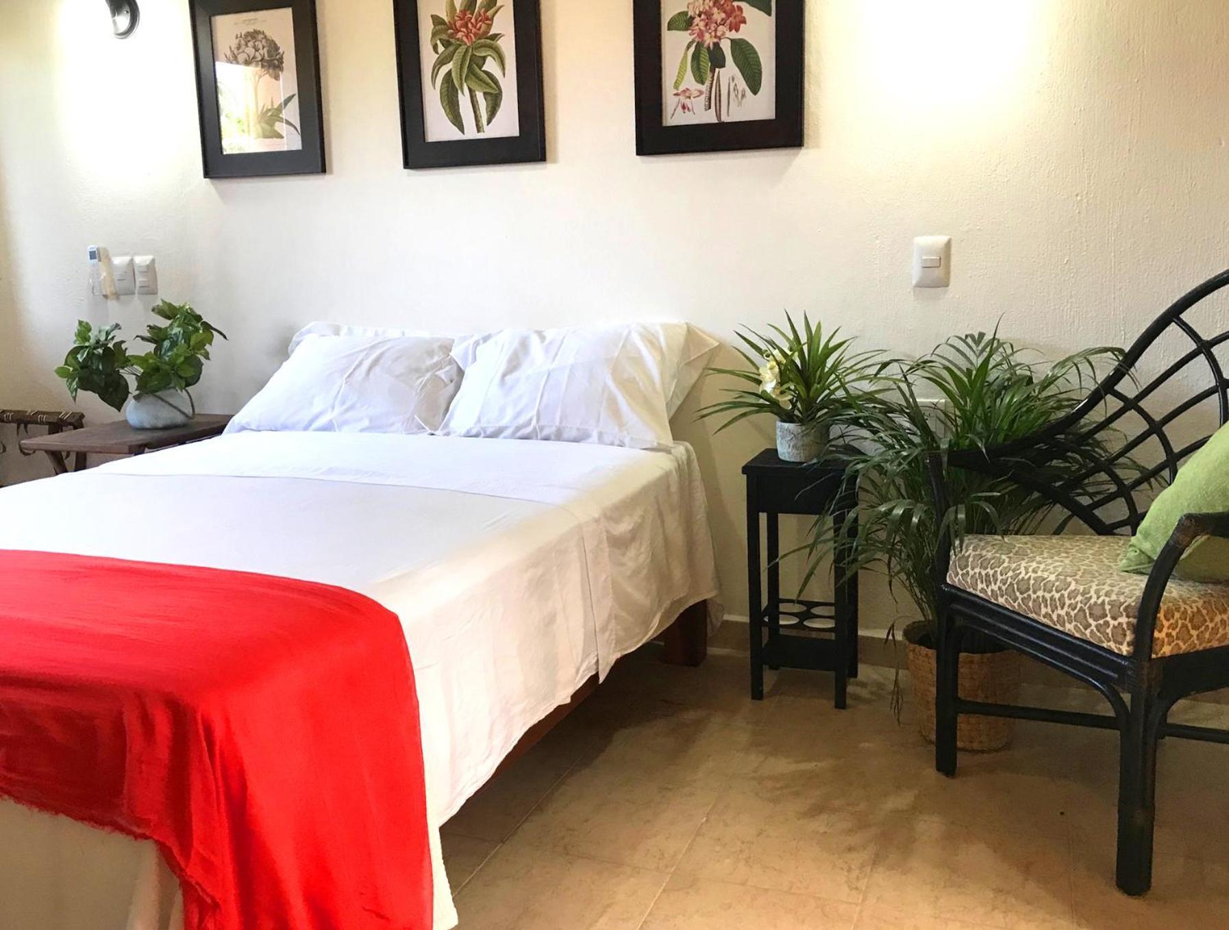 洛德马科斯 Casa Botanica酒店 外观 照片