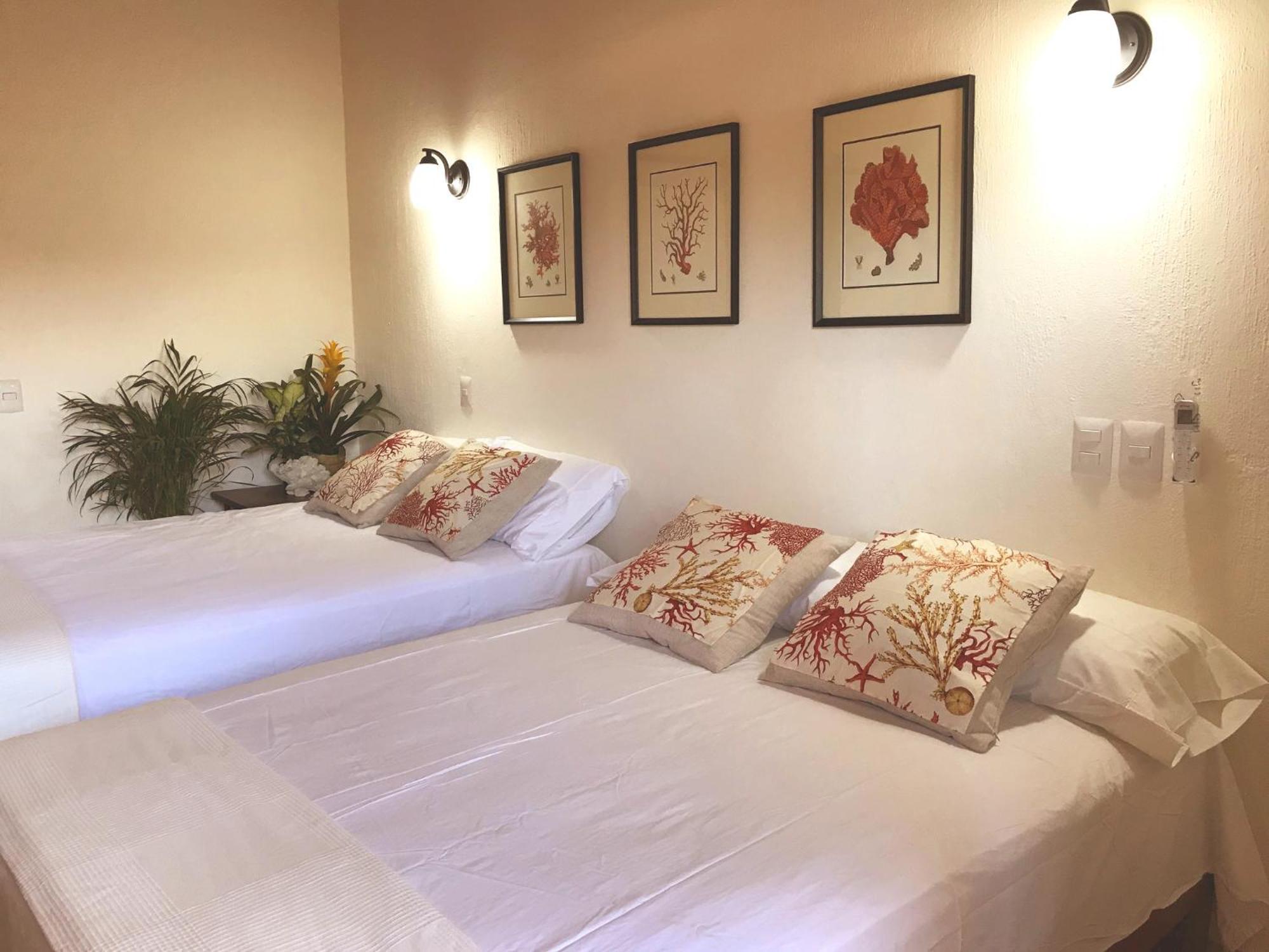 洛德马科斯 Casa Botanica酒店 外观 照片